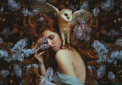 Обои на рабочий стол Модель Katerina Krobova с совой у цветов сирени, by Marketa Novak