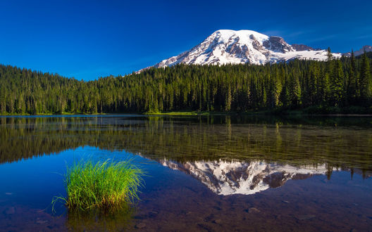 Обои на рабочий стол Вулкан Рейнир / Mount Rainier, покрытый снегом и отраженный в водной глади, в ясный летний день, США, by Robert Cross Photography
