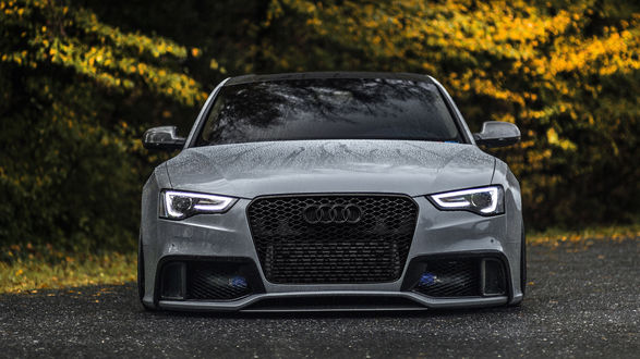 Обои на рабочий стол Серый Audi S4 Quattro в каплях воды на фоне осенних деревьев
