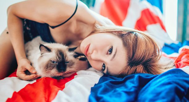 Обои на рабочий стол Девушка лежит с сиамской кошкой