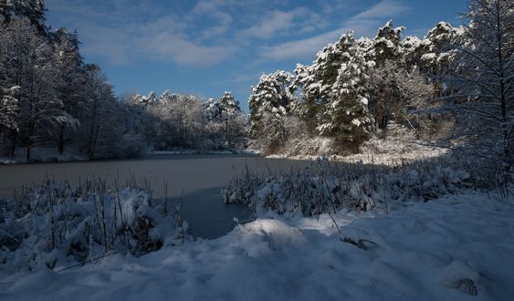 Обои на рабочий стол Речка зимой. Холодная красавица, фотограф Николай Шахманцир
