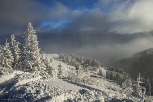 Обои на рабочий стол Дивное зимнее утро, фотограф Екатерина Ионенко