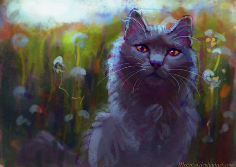 Обои на рабочий стол Серый кот сидит на фоне зеленой травы, by Meorow