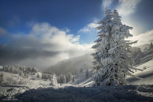 Обои на рабочий стол Зима на склонах гор, фотограф Екатерина Ионенко