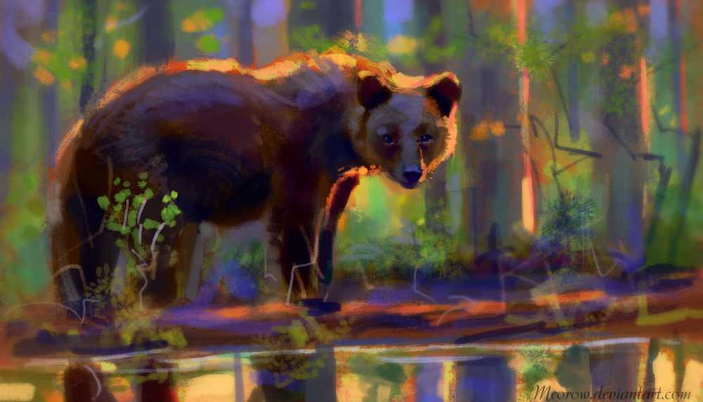 Обои для рабочего стола Медведь стоит у водоема в лесу, by Meorow