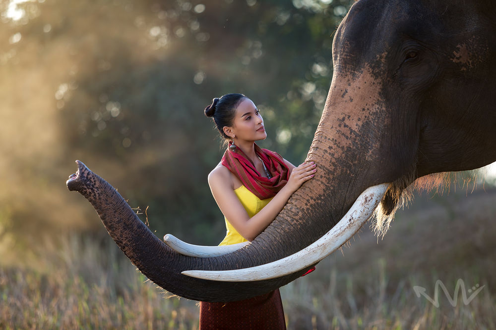 Обои для рабочего стола Девушка и слон, фотограф Sutipond Somnam