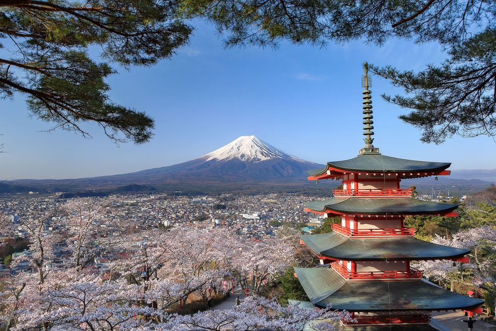 Обои для рабочего стола Пагода, цветущая вишня и вулкан Фудзи / Fuji, Япония / Japan