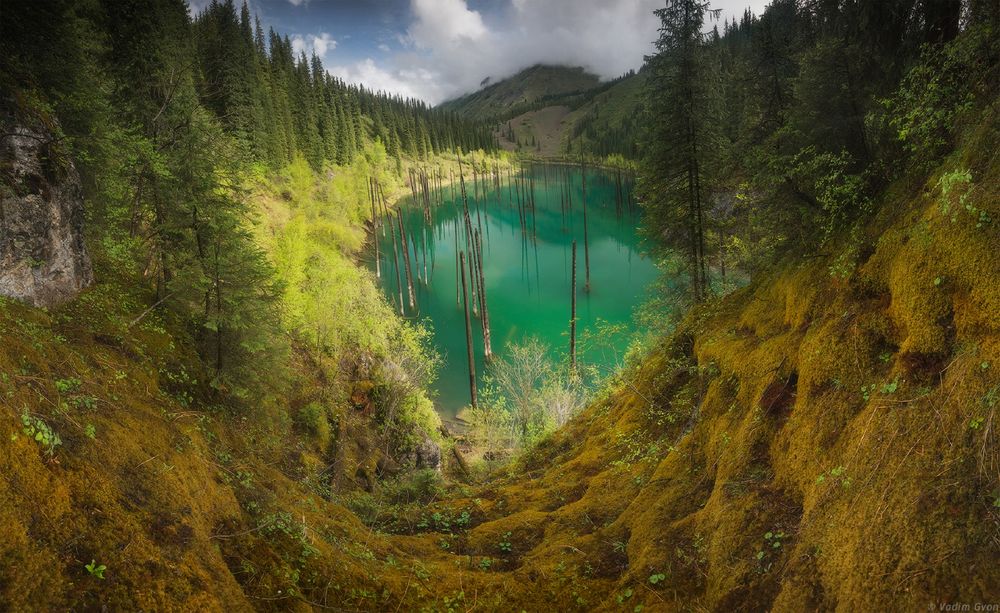 Обои для рабочего стола Изумруд озера Каинды весной, Казахстан, фотограф Вадим Гвон