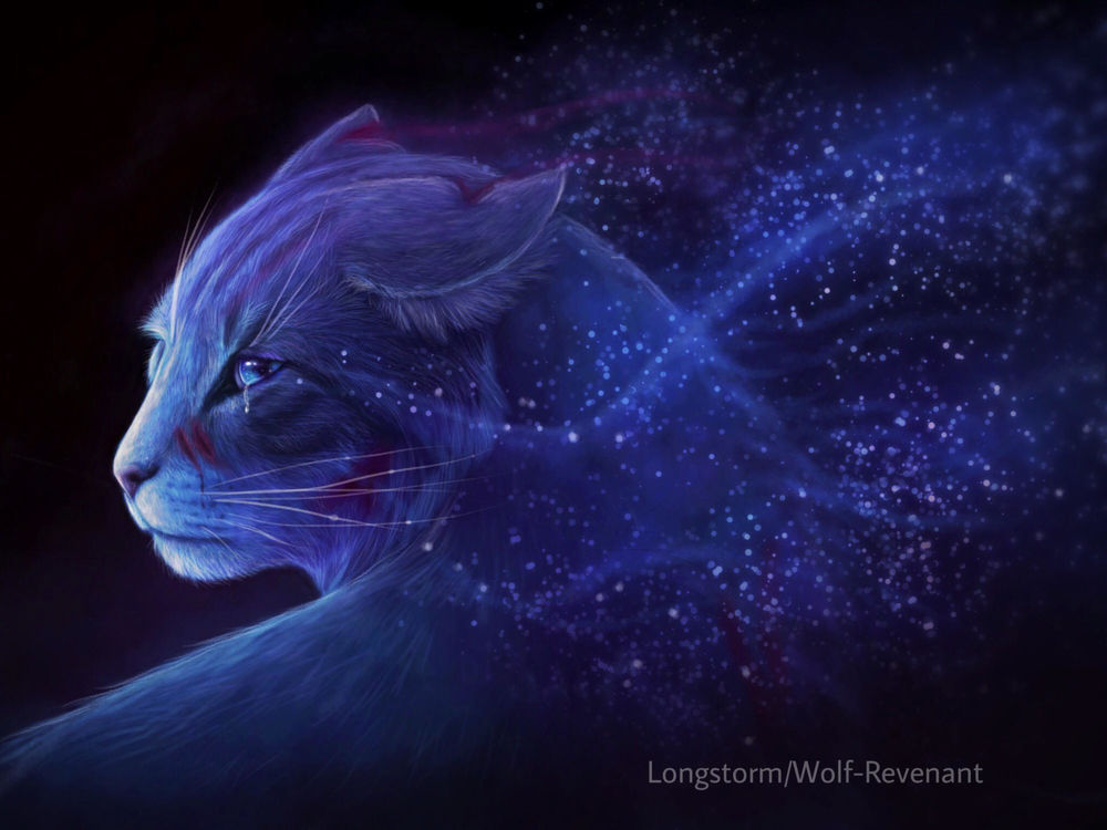 Обои для рабочего стола Волшебная кошка, by Wolf-Revenant