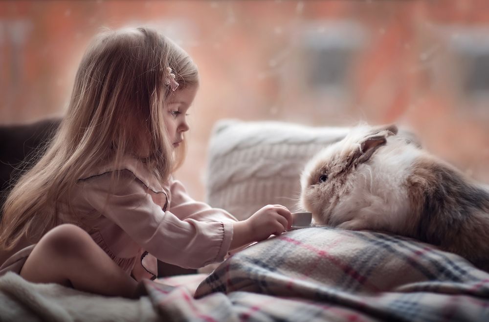 Обои для рабочего стола Девочка играет в чаепитие с кроликом, фотограф Юлия Таратынова