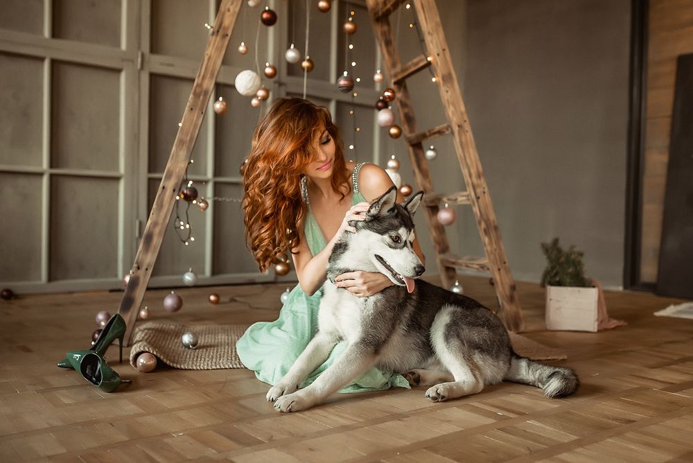 Обои для рабочего стола Шатенка в платье у лестницы сидит с собакой, фотограф Георгий Дьяков