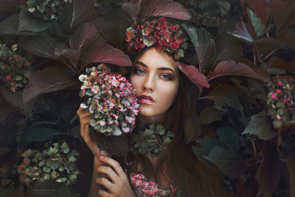 Обои для рабочего стола Модель Marketa Novak с гортензией, by Marketa Novak / Маркета Новак