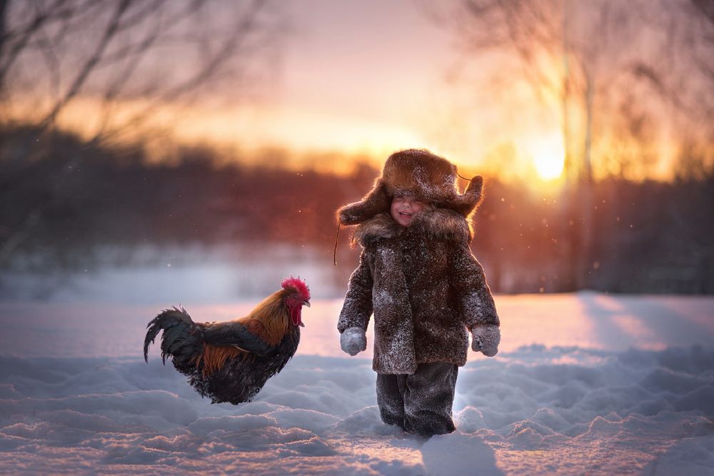 Фото мальчик с петухом