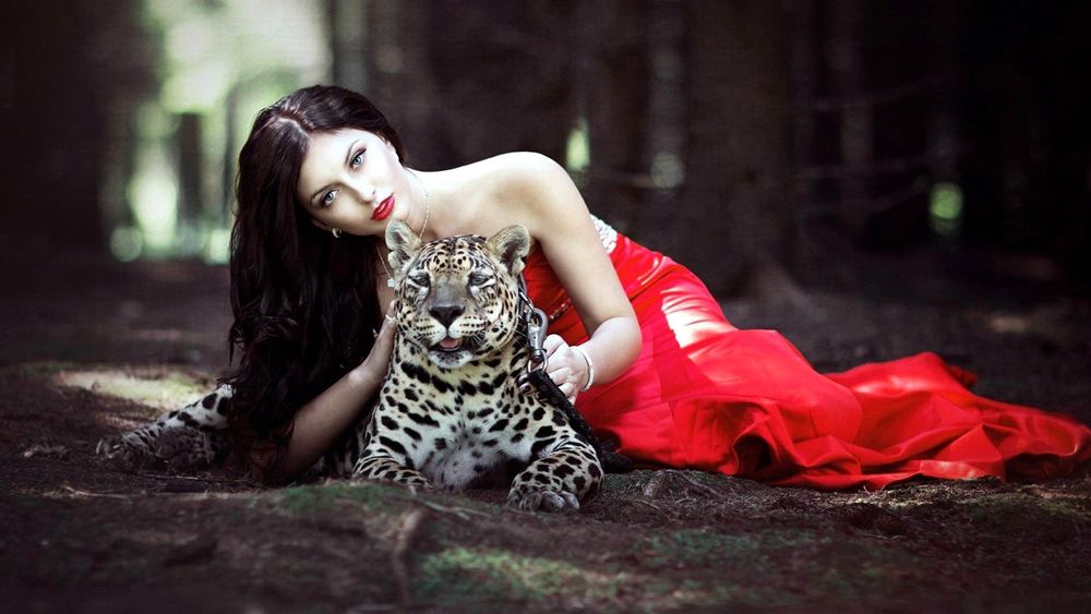 Обои для рабочего стола Брюнетка в красном платье лежит с леопардом