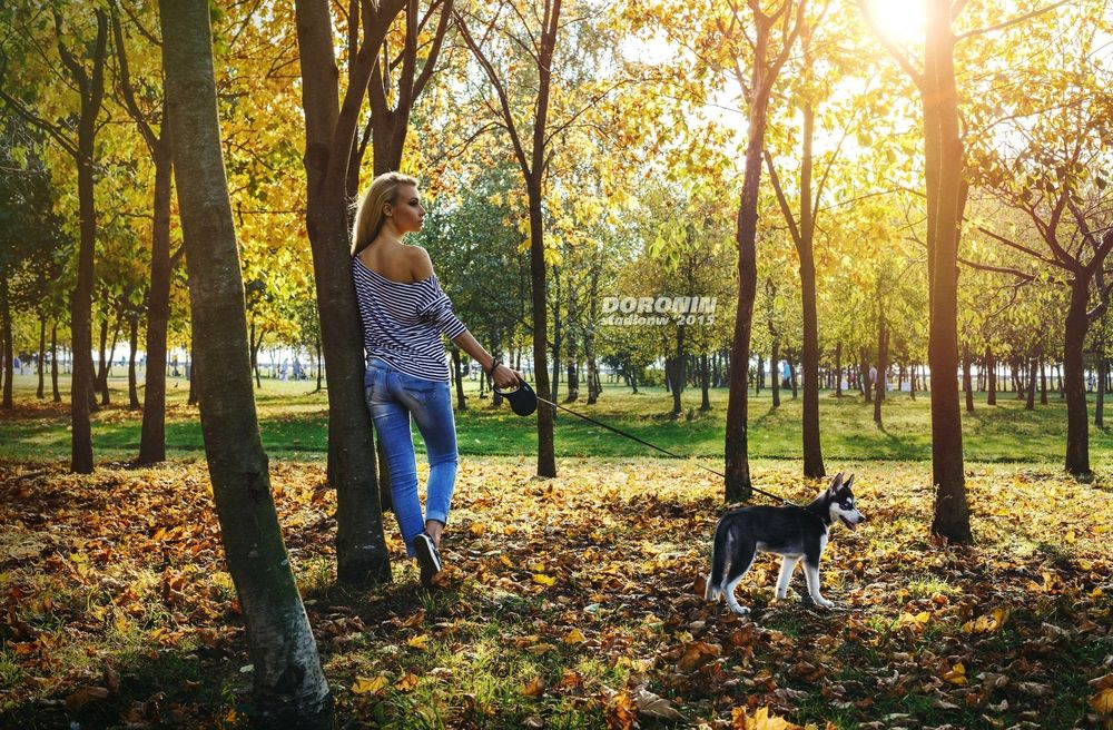 Обои для рабочего стола Девушка в джинсах с собакой породы хаски в осеннем парке, фотограф Денис Доронин