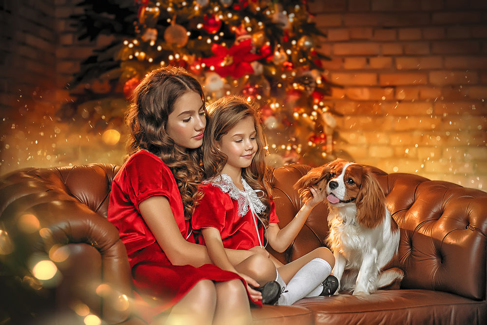 Обои для рабочего стола Две сестры в красных платьях сидят с собачкой на кожаном диване в комнате на фоне украшенной новогодней елки, фотограф Yaroslava Gromova