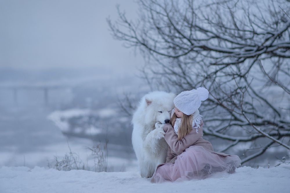 Обои для рабочего стола Девочка и самоедская лайка сидят на снегу, фотограф Елена Миронова