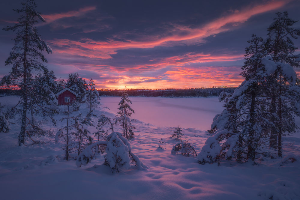 Обои для рабочего стола Зима на Ringerike, Norway / Норвегия. Фотограф Ole Henrik Skjelstad