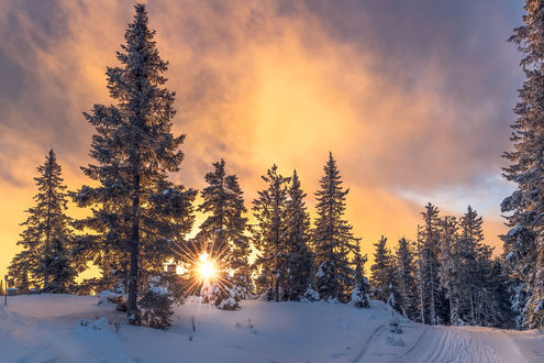 Обои на рабочий стол Зимняя сцена заката, by Jоrn Allan Pedersen