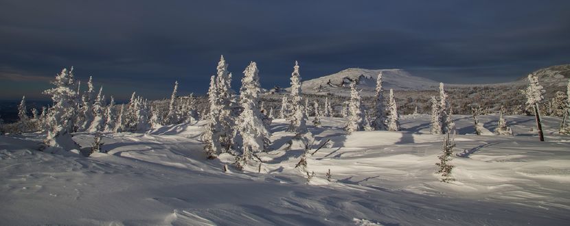 Обои на рабочий стол Зима на просторах Каларского нагорья, Горная Шория, фотограф Художников Павел