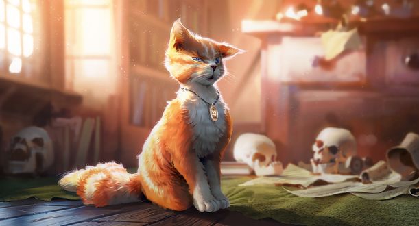 Обои на рабочий стол Рыжий кот сидит в комнате на фоне черепов, art by Morten Solgaard Pedersen