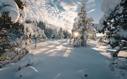 Обои на рабочий стол Солнечный зимний день, Norway / Норвегия, фотограф Janis Dzerve