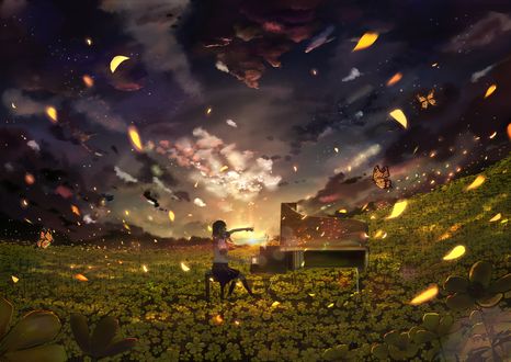 Обои на рабочий стол Девушка играет на рояле, стоящем на поляне желтых цветов, в лучах заходящего солнца