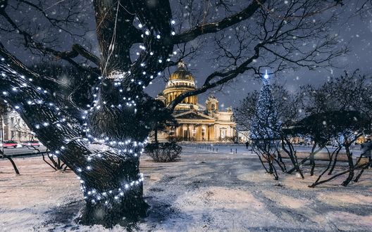 Обои на рабочий стол Исаакиевский Сквер зимой, фотограф Andrei Mikhailov