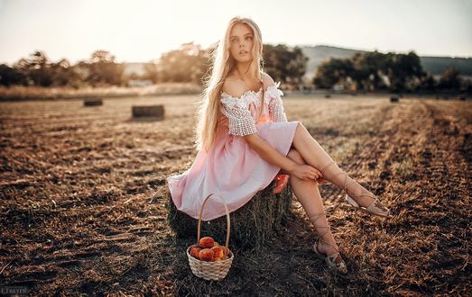 Обои на рабочий стол Девушка сидит на поле с корзиной персиков, фотограф Evgeny Freyer
