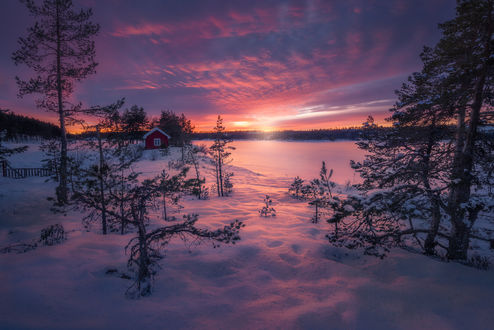 Обои на рабочий стол Магическая зима, by Ole Henrik Skjelstad