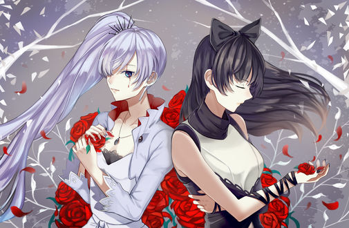 Обои на рабочий стол Weiss Schnee / Вайс Шни и Blake Belladonna / Блейк Белладонна из аниме RWBY / Красный, Белый, Черный, Желтый
