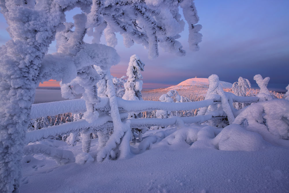 Обои для рабочего стола Заснеженная природа Финляндии в январе / В гостях у зимы, фотограф Максим Евдокимов