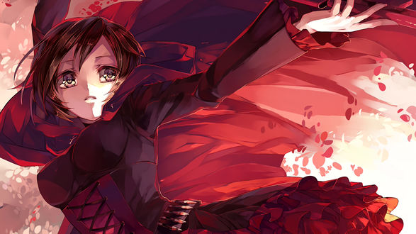 Обои на рабочий стол Ruby Rose / Руби Роуз аниме RWBY / Красный, Белый, Черный, Желтый