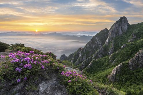 Обои на рабочий стол Spring in the valley of Wolchulsan National Park, South Korea / Весна в долине национального парка Wolchulsan, Южная Корея, фотограф Jaeyoun Ryu