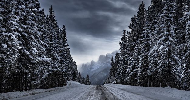 Обои на рабочий стол Дорога между заснеженных деревьев, by Timothy Poulton