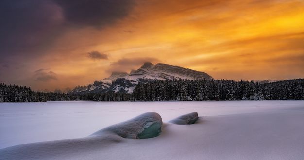 Обои на рабочий стол Облачное небо над горами и лесом, by Timothy Poulton
