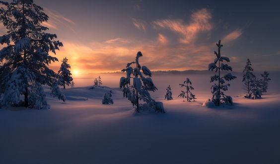 Обои на рабочий стол Тихое зимнее утро в Ringerike, Norway / Рингерике, Норвегия, by Ole Henrik Skjelstad
