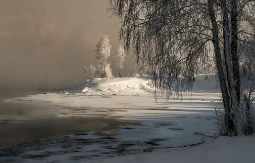 Обои на рабочий стол Деревья на берегу реки, покрытые изморозью, под солнечным светом на фоне хмурого неба, фотограф Марина Фомина