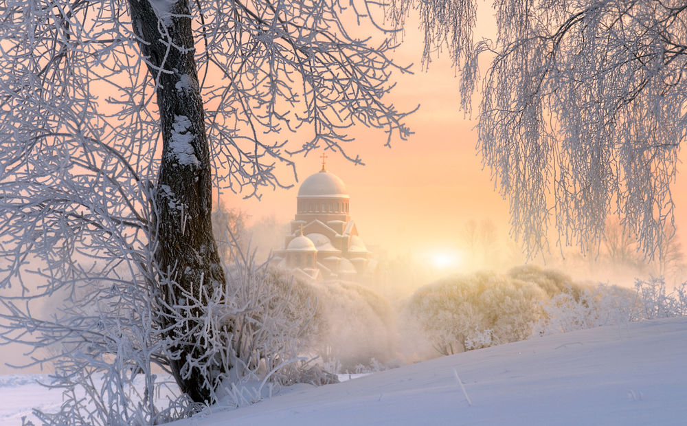 Обои для рабочего стола Зима в Муринском парке, Санкт-Петербург, фотограф Ed Gordeev