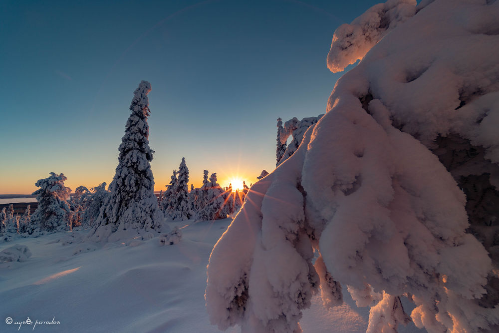 Обои для рабочего стола Восход солнца в морозный день, на переднем плане ветка в пушистом снегу, by Agnеs Perrodon