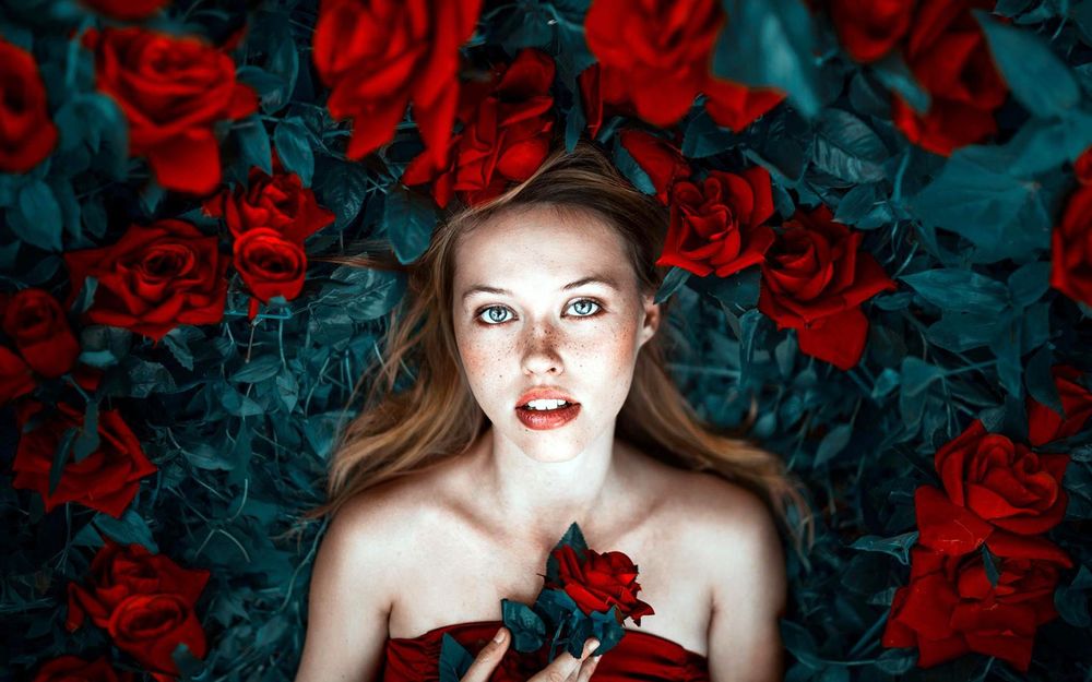 Обои для рабочего стола Модель Петти лежит с красной розой, фотограф Ronny Garcia