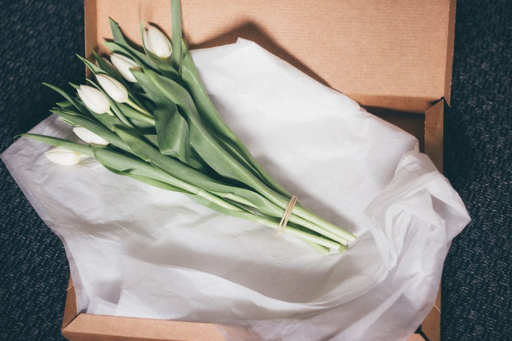 Обои для рабочего стола Букет весенних белых тюльпанов в коробке