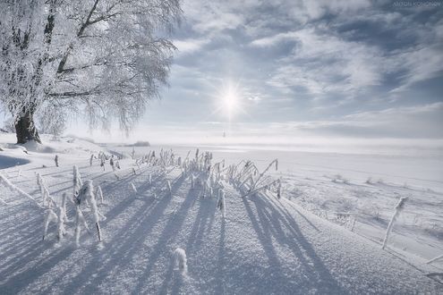 Обои на рабочий стол Вид с Рюрикова Городища на Юрьев Монастырь, Великий Новгород / Зимнее солнце, фотограф Антон Кононов