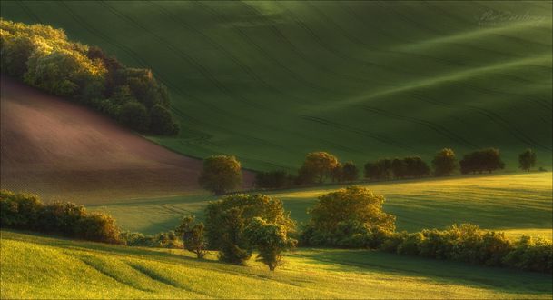 Обои на рабочий стол Лето на Мораве, Czech Republic / Чехия, фотограф Влад Соколовский