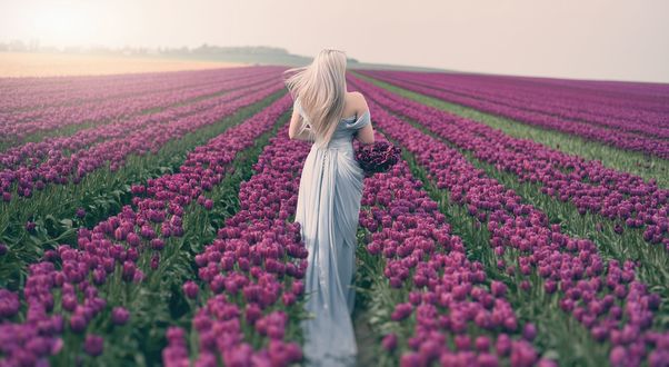 Обои на рабочий стол Девушка стоит на поле тюльпанов, фотограф Miss Froggi