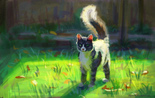 Обои на рабочий стол Серый кот с белой грудкой на прогулке, by Meorow