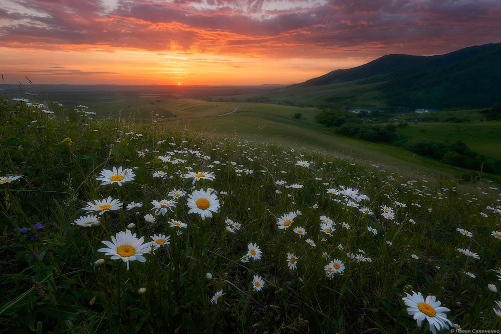 Стол на переднем плане