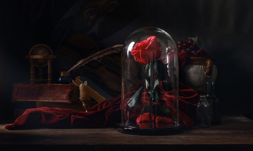 Обои для рабочего стола Натюрморт с алой розой в колбе, книгами, скрипкой, пером в чернильнице, виноградом в вазе, бутылками, свечой в подсвечнике и тканью на столе, фотограф Владимир Осауленко