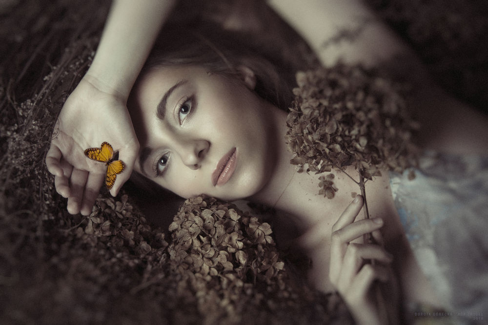 Обои для рабочего стола Модель Ania Bienkowska с бабочкой и цветком в руках. фотограф Dorota Gorecka