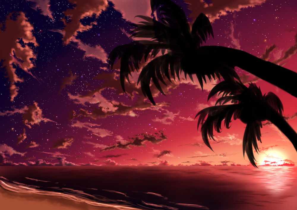 Обои для рабочего стола Пальмы на побережье на фоне заката солнца